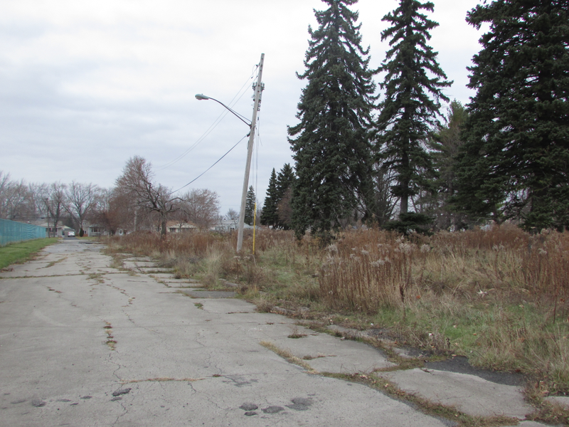 Illustration for article titled Me and the Subaru Visited Love Canal Today